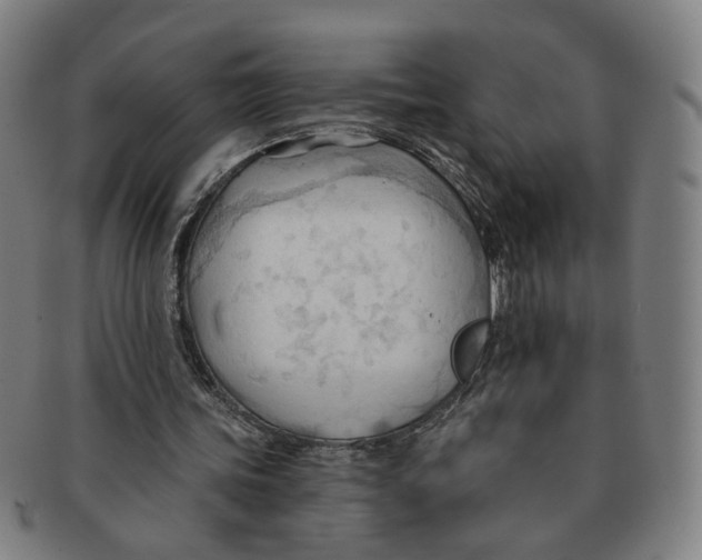 X0000090980339200708301254