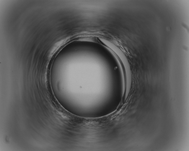 X0000090980340200708301254