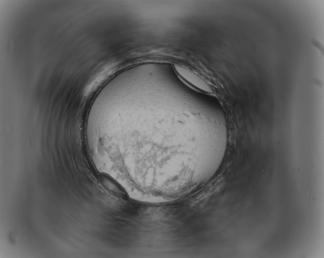 X0000090980341200708301254
