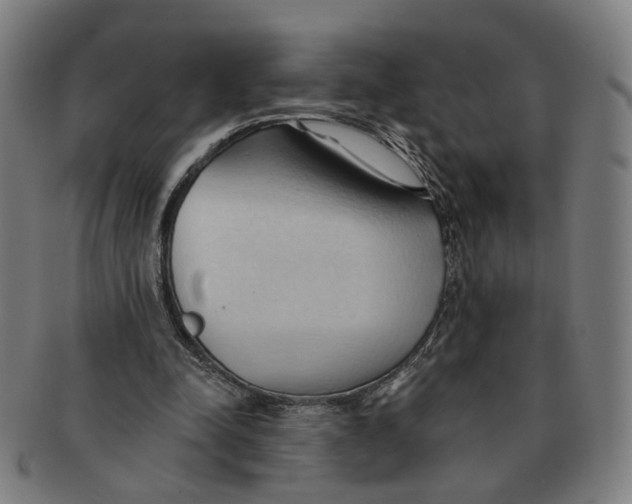 X0000090980342200708301254