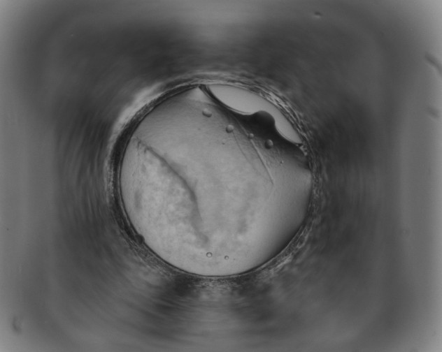X0000090980343200708301254