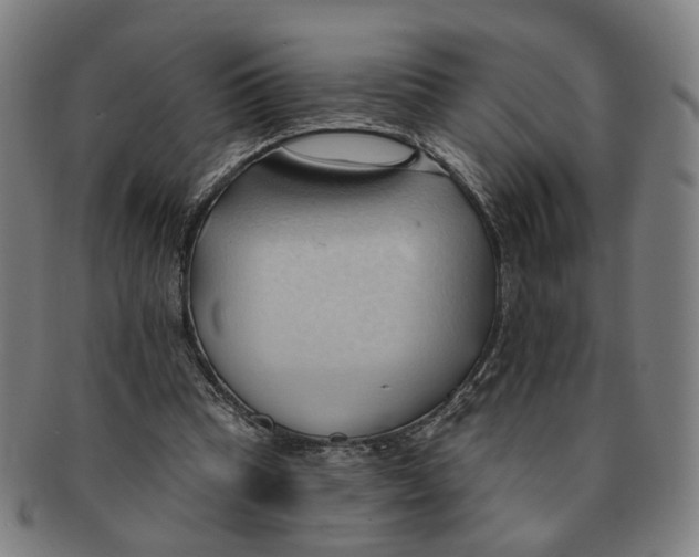 X0000090980345200708301254