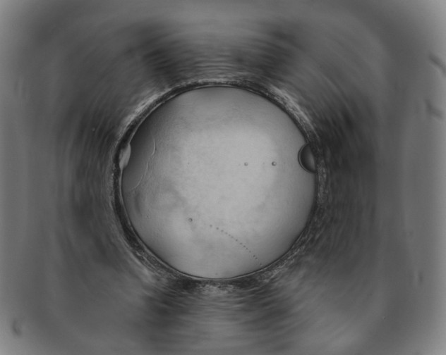 X0000090980346200708301254