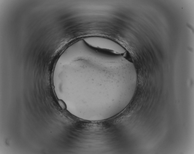 X0000090980347200708301254