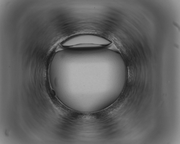X0000090980348200708301254