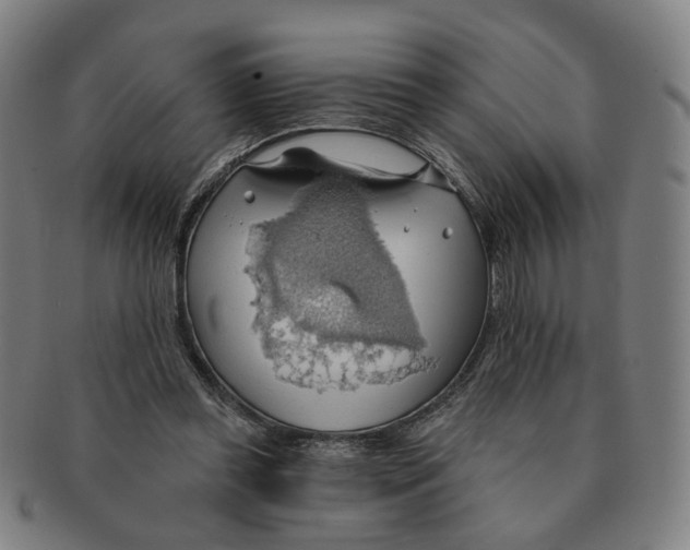 X0000090980349200708301254