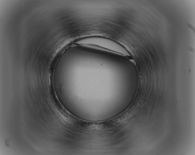 X0000090980350200708301254