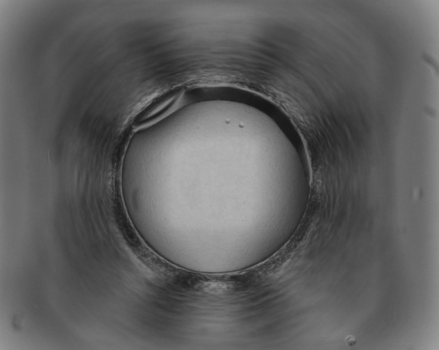X0000090980352200708301254