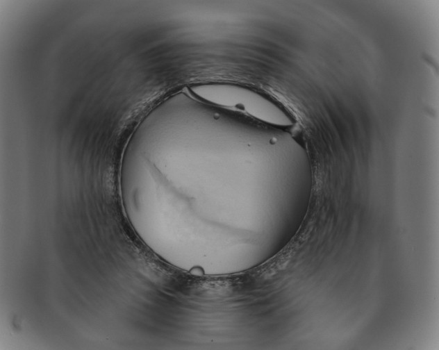 X0000090980353200708301254
