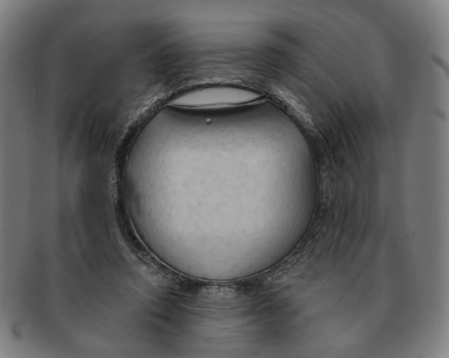 X0000090980354200708301254