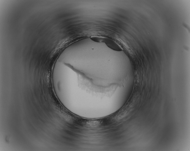 X0000090980357200708301254