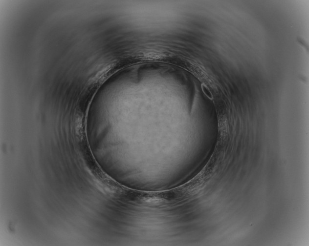 X0000090980360200708301254