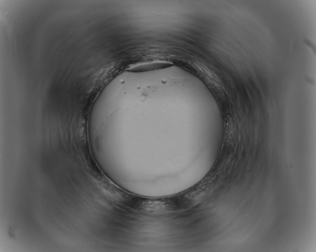 X0000090980361200708301254