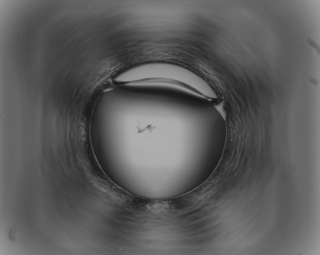 X0000090980362200708301254