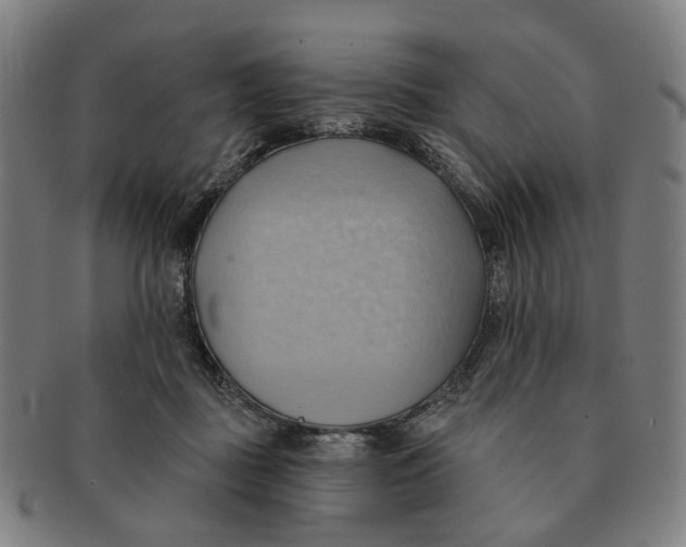 X0000090980363200708301254