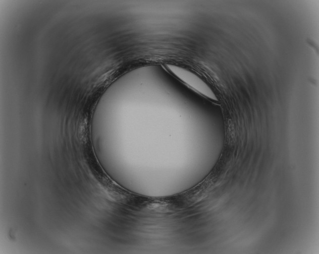 X0000090980364200708301254