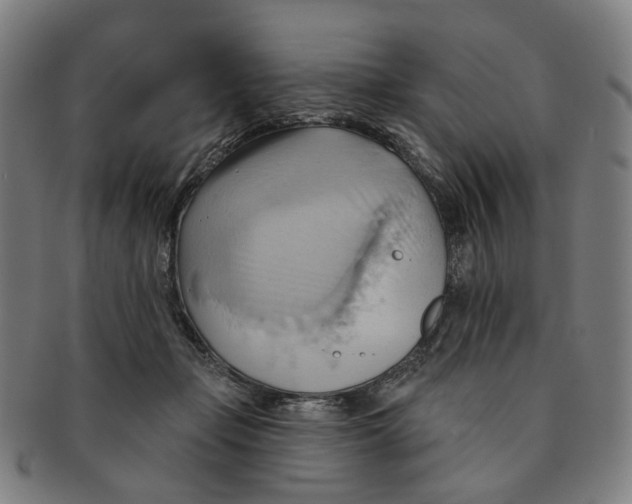 X0000090980365200708301254