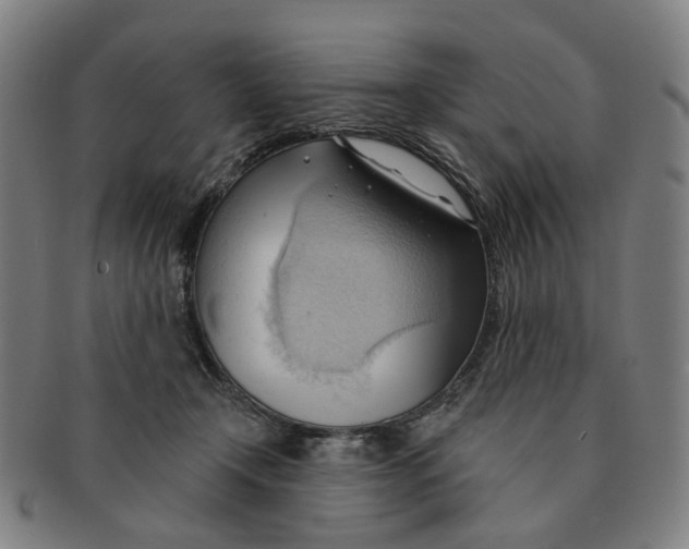 X0000090980366200708301254