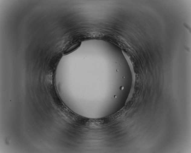 X0000090980368200708301254
