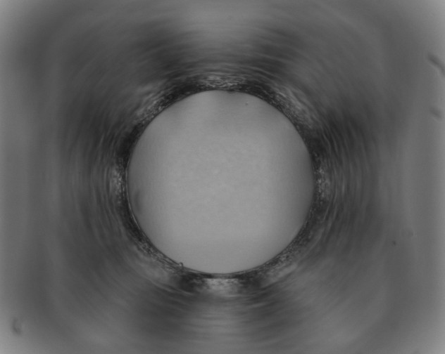 X0000090980371200708301254