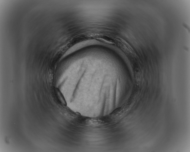X0000090980372200708301254
