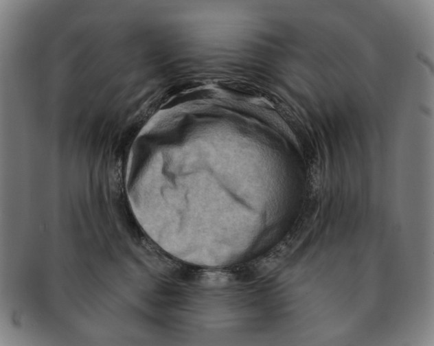 X0000090980376200708301255