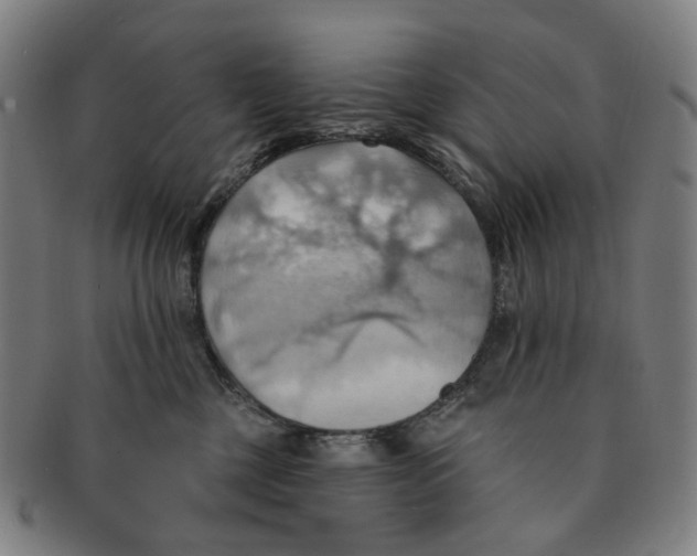 X0000090980377200708301255