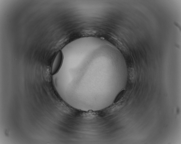 X0000090980378200708301255