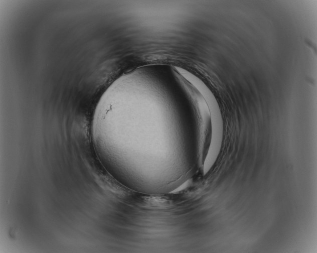 X0000090980380200708301255