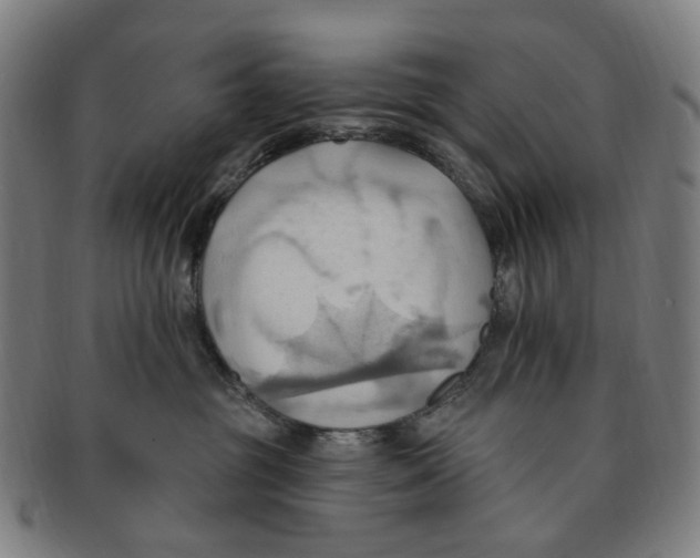 X0000090980381200708301255