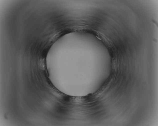 X0000090980383200708301255