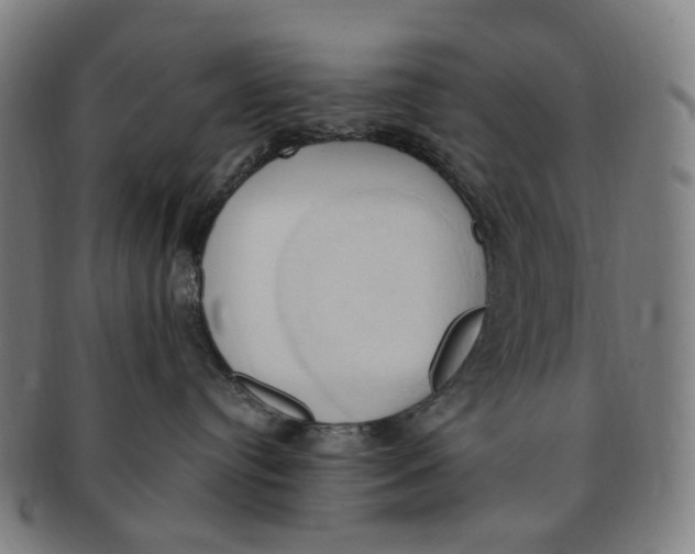 X0000090980384200708301255