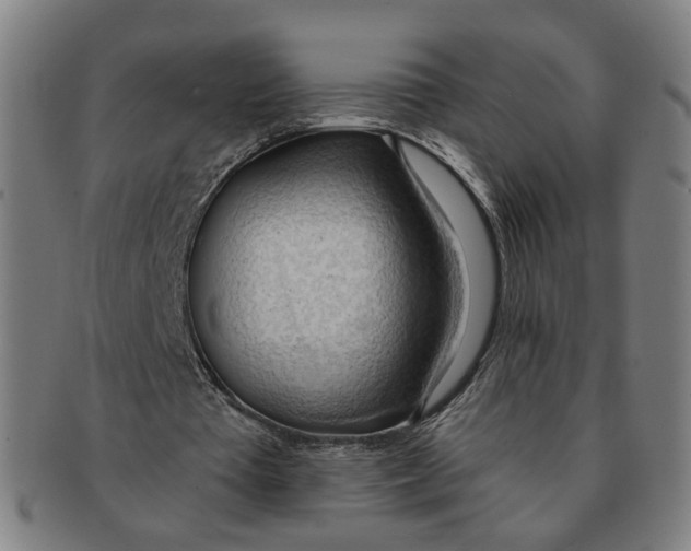 X0000090980385200708301254