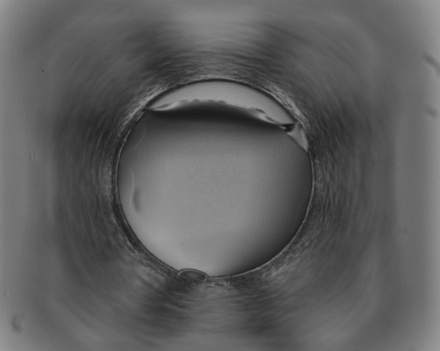 X0000090980386200708301254