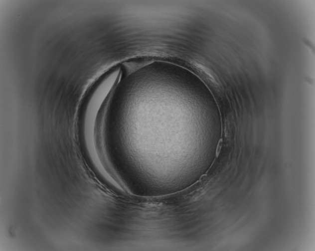X0000090980388200708301254