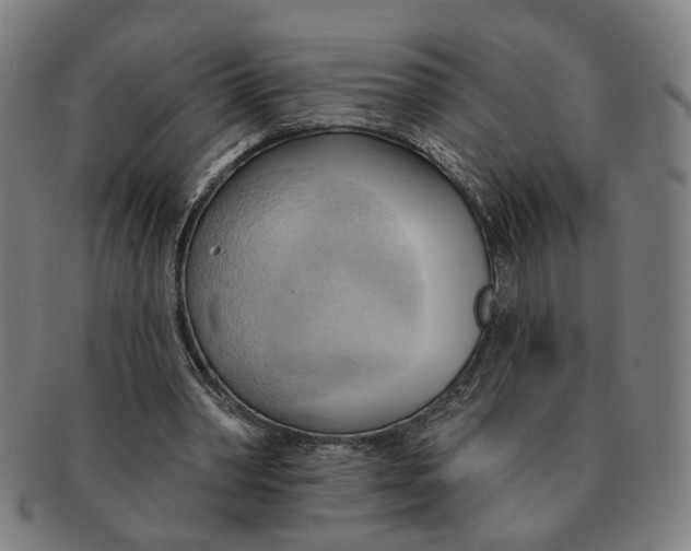 X0000090980390200708301254