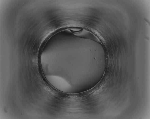 X0000090980391200708301254