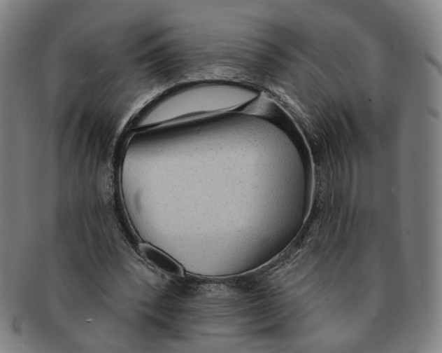 X0000090980392200708301254