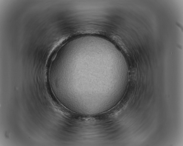 X0000090980395200708301254