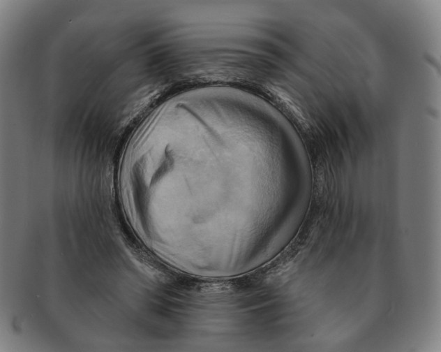 X0000090980398200708301254
