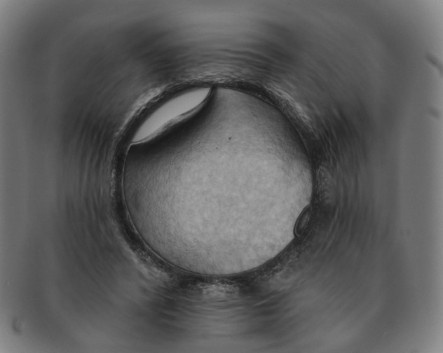 X0000090980400200708301254