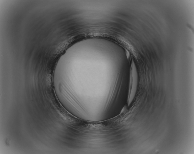 X0000090980401200708301254