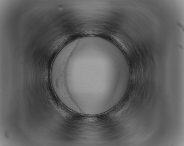 X0000090980402200708301254