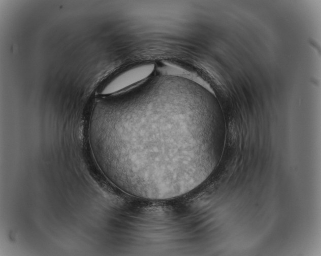 X0000090980404200708301254