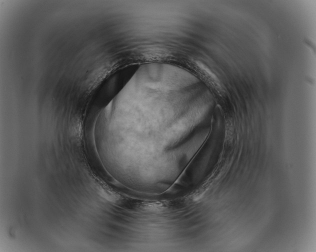X0000090980405200708301254