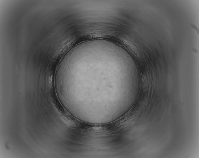 X0000090980406200708301254