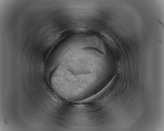 X0000090980409200708301253