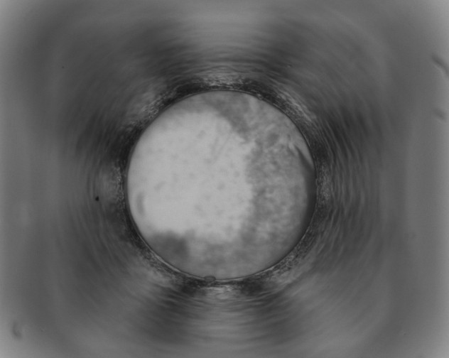 X0000090980411200708301253