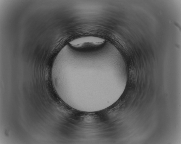 X0000090980412200708301253