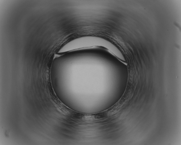 X0000090980413200708301253